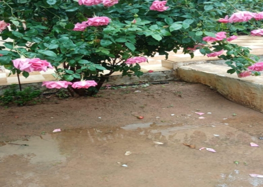villa - image 4