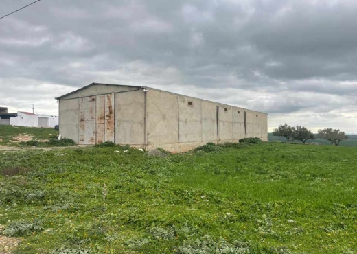 terrain agricole - image 2