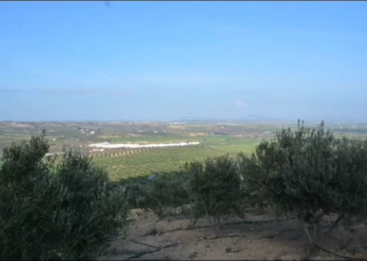 terrain - image 3