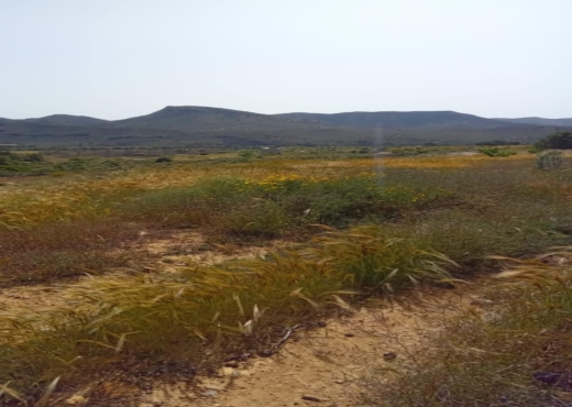 terrain agricole - image 3