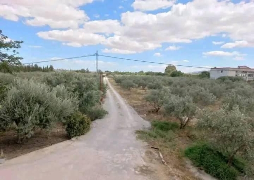 terrain agricole - image 2